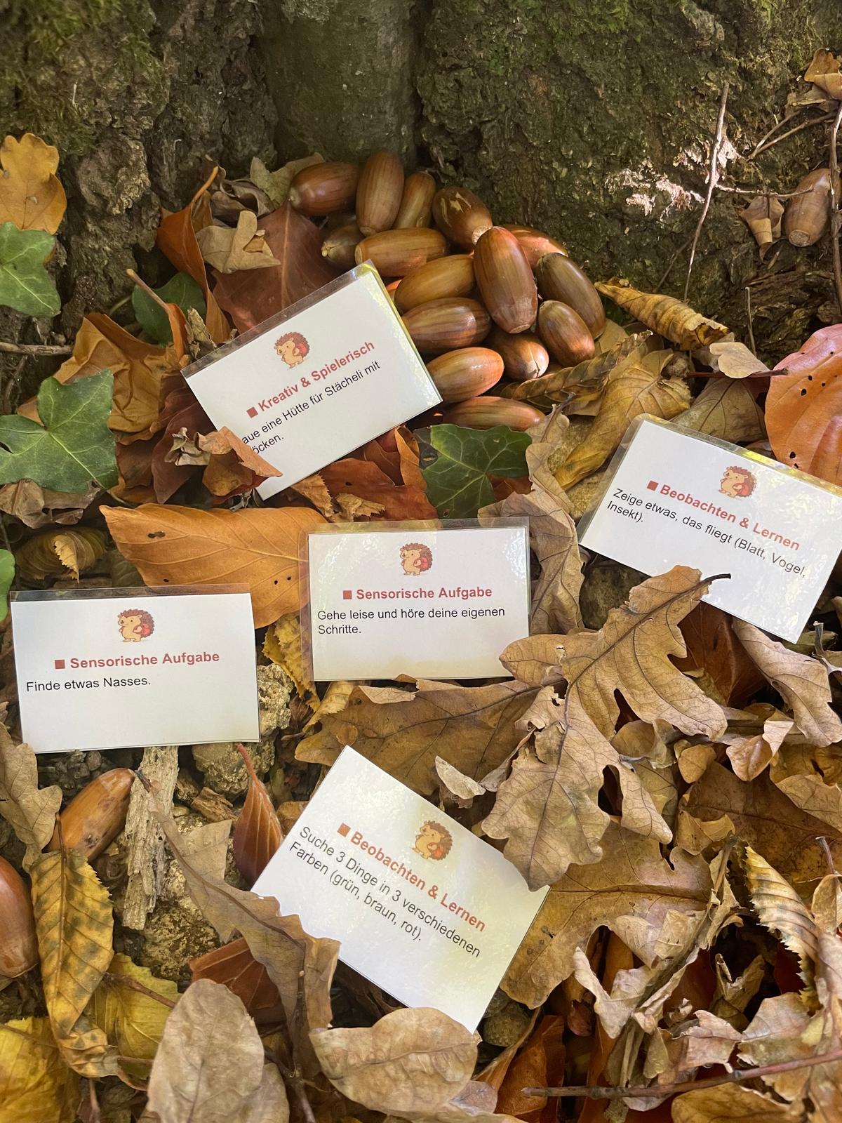 Förderung im Wald