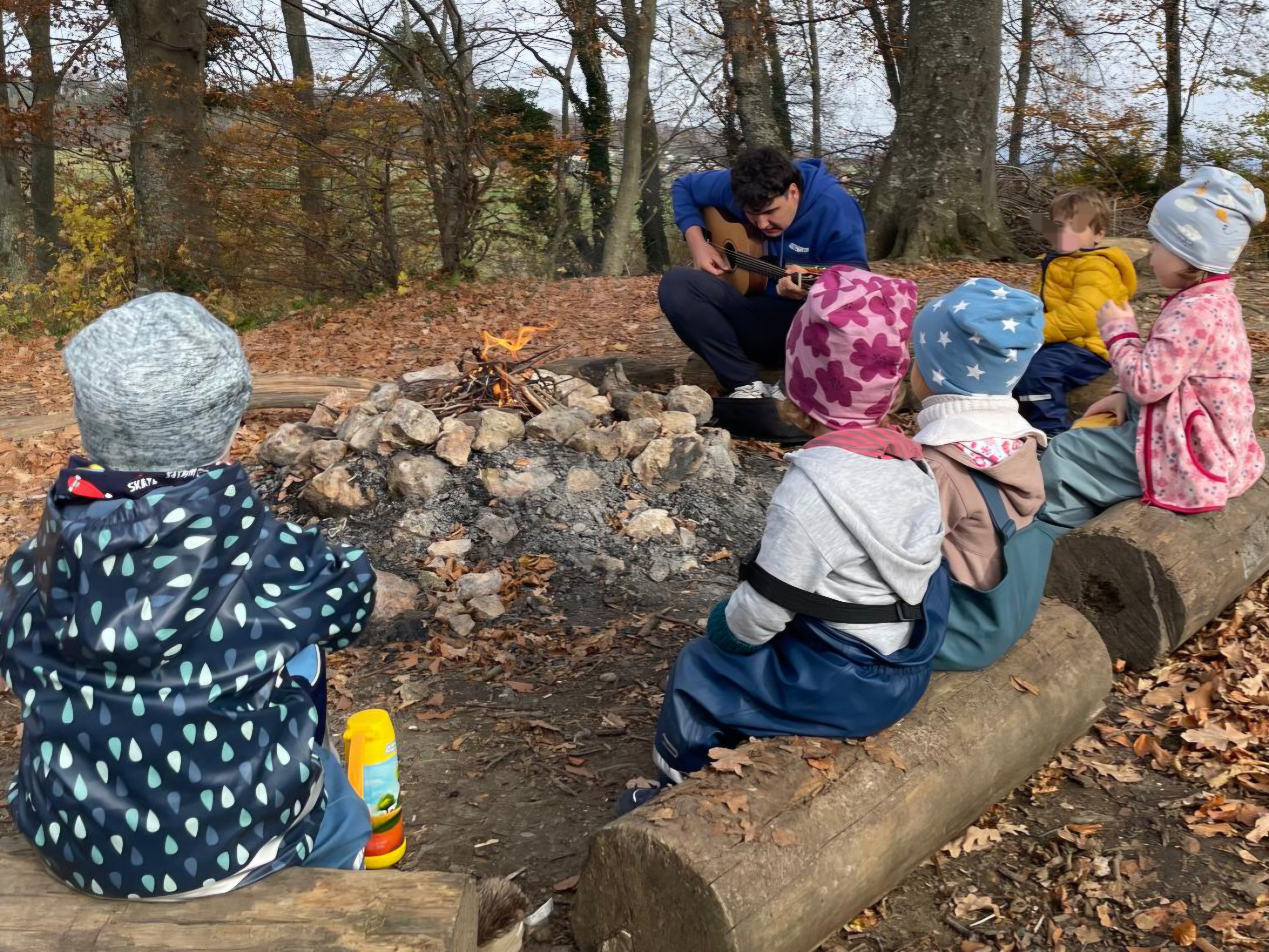 Gitarrenklänge im Wald