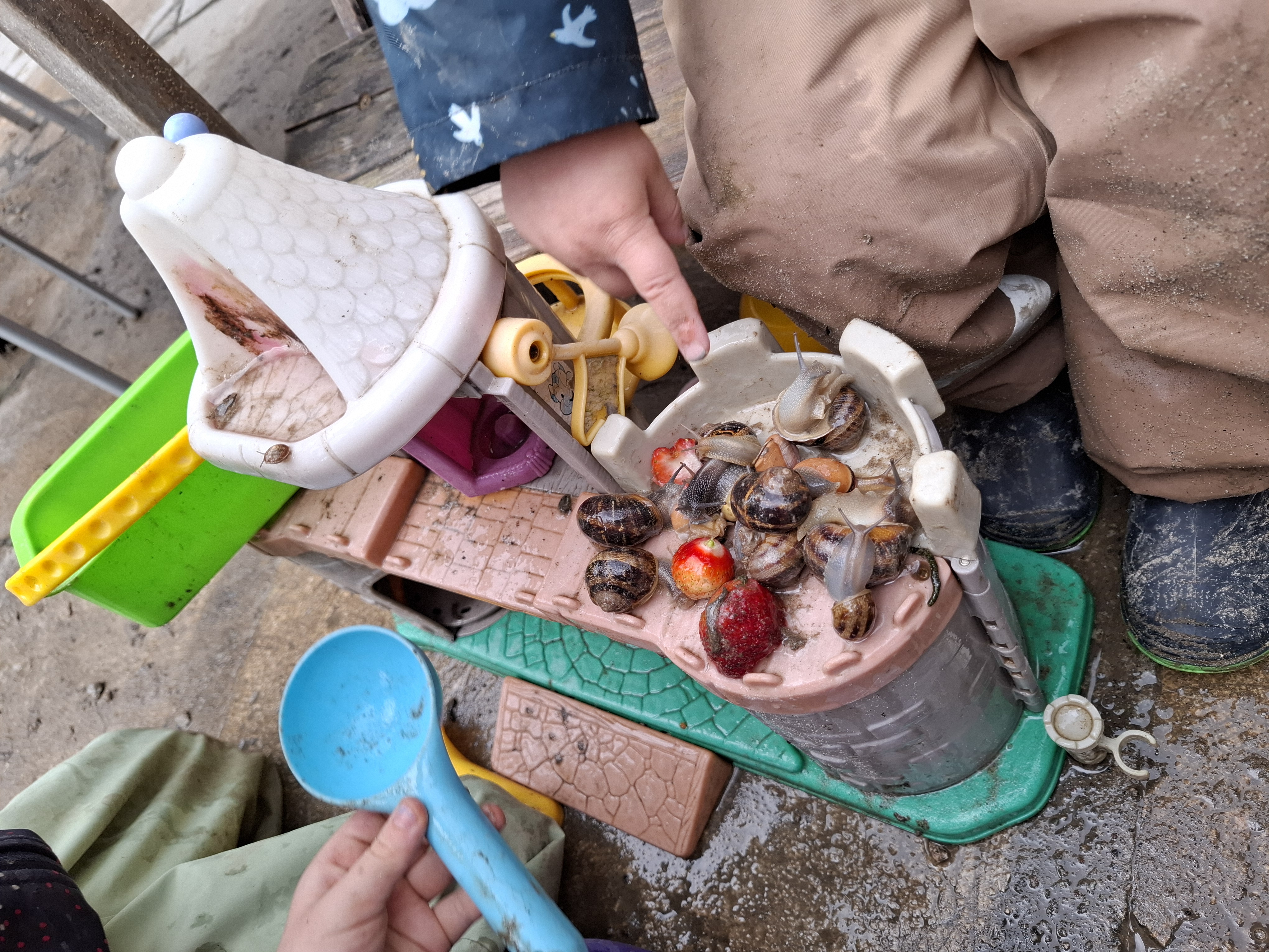 Schnecken füttern