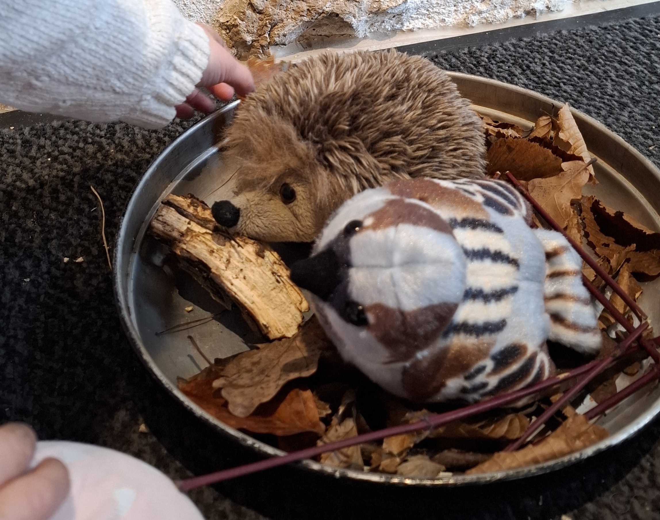 Stächeli und Fifi erhalten ein Nestchen