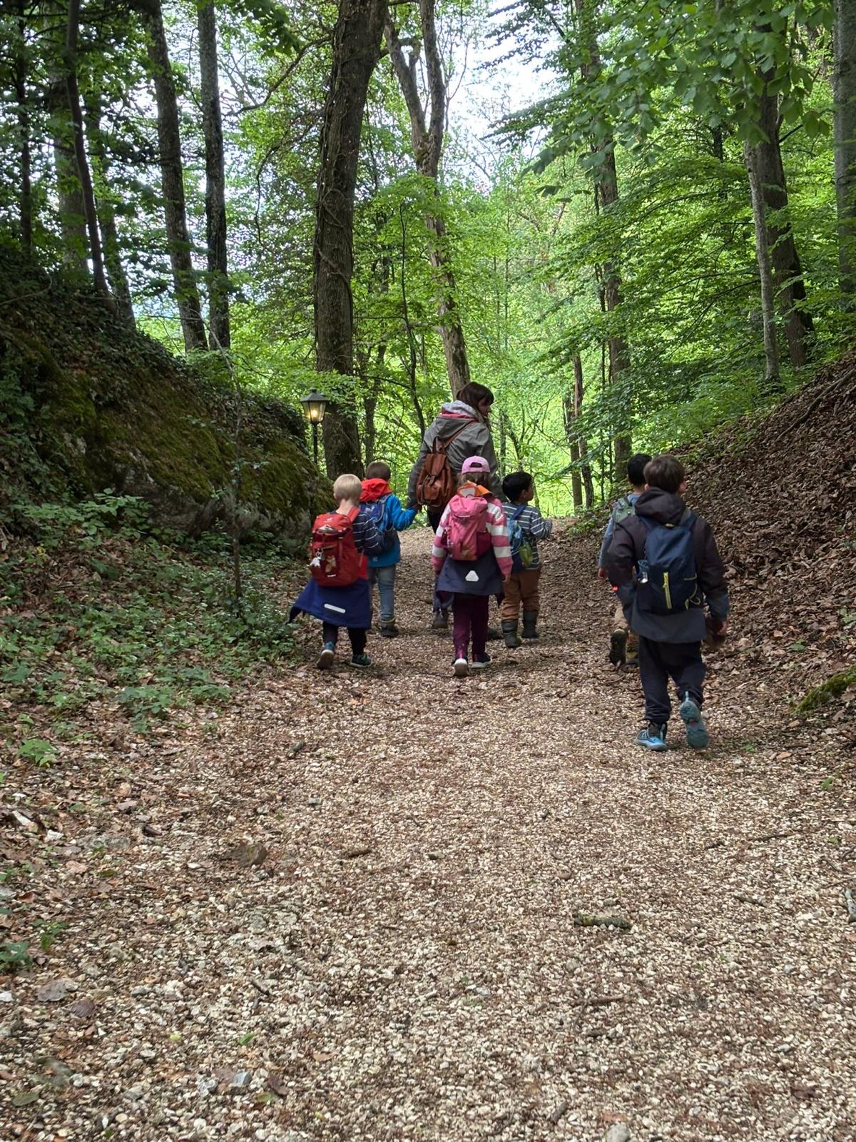 Weg in den Wald